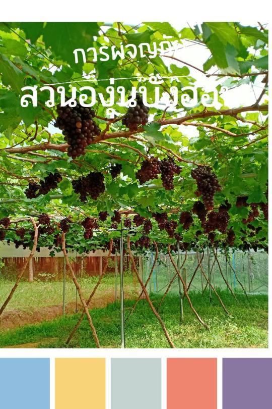 Bang Hon Homestay Ко-Яо-Ной Екстер'єр фото